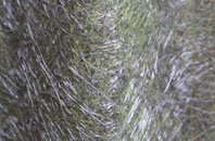 Thoralby fibreglass roof work